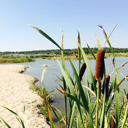 Obok Lasu אתר נופש 3*