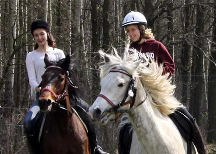 Obok Lasu Resort Grebiszew